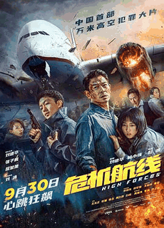 4399电影网_《危机航线》电影海报在线看